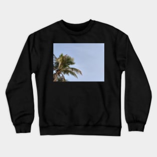 Palm tree and blue skies Crewneck Sweatshirt